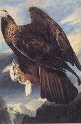 Golden Eagle John James Audubon